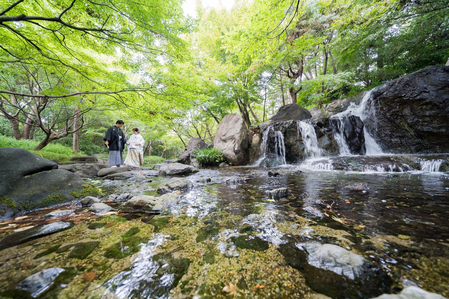 白鳥庭園